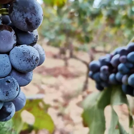 Apartment Iskra Split